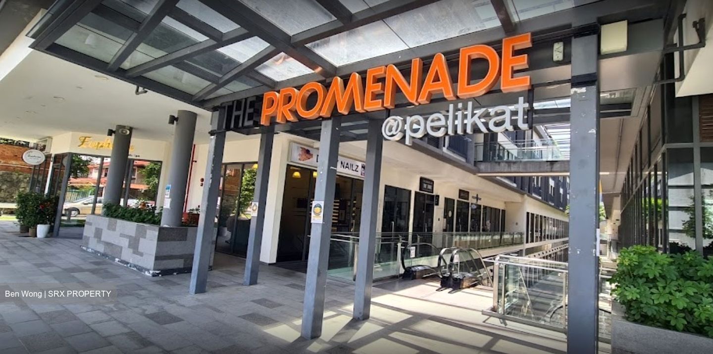 The Promenade@Pelikat (D19), Shop House #452193831